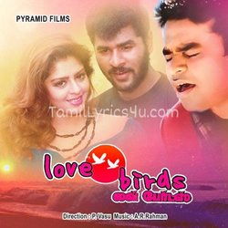 Love Birds Poster