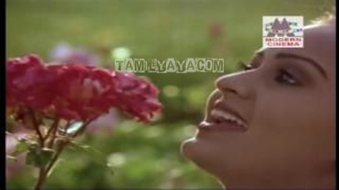 ABC Nee Vasi Song Poster