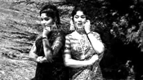 Chithira Poovizhi Song Poster