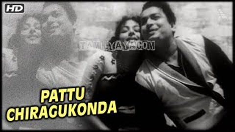 Pattu Chiragukonda Song Poster