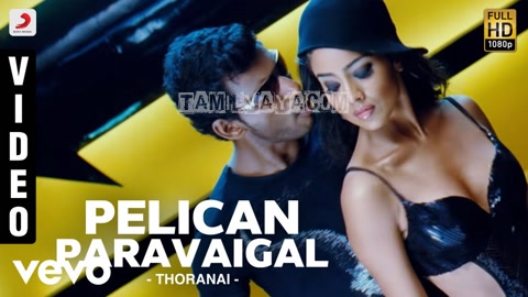 Pelican Paravaigal Song Poster